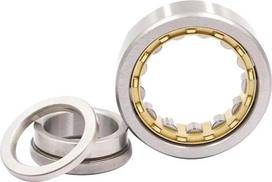 COSZWQDP 1 PC Zylinderrollenlager 216 217 218 219 220 221 em(NUP221EM)