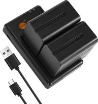 DSTE 2PCS Sony NP-F970 NP-F950 NP-F930(7900mAh/7.4V) akumuliatoriaus įkroviklio rinkinys, skirtas Sony CCD-TR910,CCD-TR917,CCD-TR917,CCD-TR930,CCD-TR940,CCD-TR3000,CCD-TR3300,PT-176S,CN-160,OE-160,CN-216,JYLED-300S fotoaparato LED šviesa