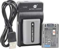 DSTE NP-FP50 ličio jonų akumuliatorius (2 vnt.) ir USB įkroviklis, suderinamas su "Sony DCR-DVD103, DCR-DVD105, DCR-DVD203, DCR-DVD205, DCR-DVD305, DCR-DVD92, DCR-HC20