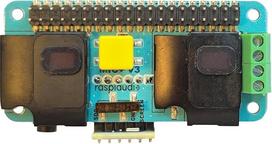 Garso kortelė, skirta Raspberry PI5 Visi modeliai Pi4 / Pi Zero / Pi3 / Pi3B / Pi3B / Geresnė kokybė nei USB (Mic_V3)
