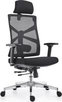 HOLLUDLE ergonominė biuro kėdė su pritaikomu atlošu, rašomojo stalo kėdė su 4D porankiais, reguliuojamu sėdynės gyliu, juosmens atrama ir 2D galvos atlošu, kvėpuojanti tinklelio biuro kėdė, juoda