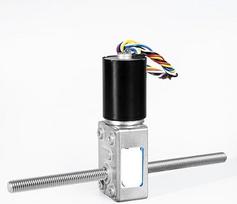 JGY-2838 DC Schneckengetriebemotor mit hohem Drehmoment 12 V 24, kleiner Doppelmotor mit niedriger Geschwindigkeit (12 V, 18 U/min)