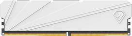 Netac DDR4 16GB RAM 2666MHz Kompiuterių stalinių kompiuterių atmintis DRAM C19 Gaming Memory 16GB White Heat Vest for Computer Game White