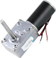 Nuolatinės srovės 12 V 24 V variklis, Reduzierer, hohes Drehmoment, einstellbare Geschwindigkeit, 5840-31ZY Schneckengetriebemotor, verlängerte Welle, Motoren 51 mm (258 RPM-24 V O MOT)