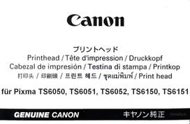 Originali "Canon" spausdinimo galvutė, skirta "Pixma TS6050", TS6051, TS6052, TS6150, TS6151