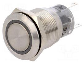 Switch: vandal resistant | Pos: 2 | SPDT | 0.5A/220VAC | 1A/24VDC | IP67