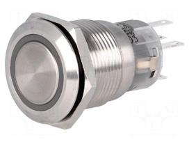 Switch: vandal resistant | Pos: 2 | SPDT | 0.5A/220VAC | 1A/24VDC | IP67