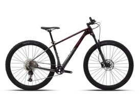 Dviratis 29" POLYGON SYNCLINE C3 Rudas/Pilkas  - l