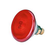 Raudona lemputė Philips 22303 175 W
