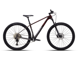 Dviratis 29" POLYGON SYNCLINE C3 Rudas/Pilkas