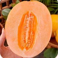 Saldus ir sultingas auksinis melionas (apytiksliai. 1,5 kg)