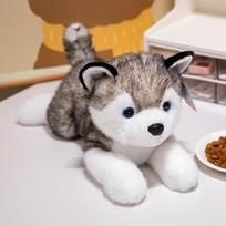 30/40/50CM Cute Puppy Dog Husky Plush Toy Animal Stuffed Doll Home Decoration Birthday Gift 30cm pilka spalva