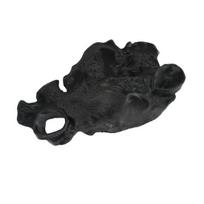 Aquarium Cave Tunnel under Gravel Fish Hideout Fish Tank Decoration Natural Curve Hideout for Pleco Shrimp Corydoras Catfish S juoda