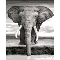 Animal Elephants DIY Paint By Numbers Set Acrylic Paints 40*50 Canvas Painting Wall Paintings Crafts For Adults Wholesale Handic 30x20cm no frame šviesiai žalios spalvos
