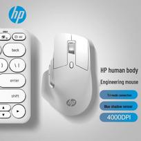 HP Professor1 Wireless Ergonomic Mouse