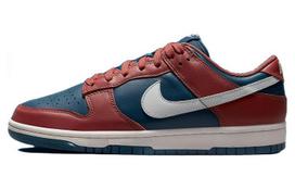 Nike Dunk Low 'Canyon Rust Blue' Moteriški DD1503-602 36.5 gray
