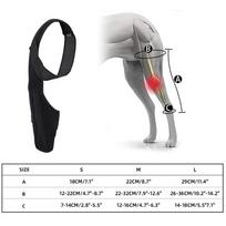 Dog Knee Brace Large Dog Rear Leg Support Breathable Back Leg Support With Metal Strip High Elasticity Leg Protector Senior Dogs (Black,XS) juoda