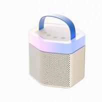 Philips TAS2519 Wireless Karaoke Bluetooth Speaker CN plug (adapter included)