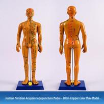 Fengfan Meridian Acupuncture Model: Traditional Chinese Medicine Bronze Man with Acupoints