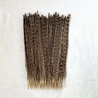 Patelės fazano uodegos plunksnos 10 vnt./partija 25-30 cm/10-12 colių Natūralios raudonos, žalios, rudos plunksnos rankdarbiams, „pasidaryk pats“ dekoracijoms, plunksnos 15-20CM