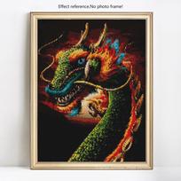 Deimantų tapyba Drakono paveikslėliai su Kalnų krištolais Deimantinė mozaika Viso išdėstymo deimantinis siuvinėjimas 20X30 black