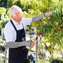 Atsparūs pjūviams rankogaliai Rankų apsaugos Rankogaliai sodui Daugiafunkcinis atsparus pjūviams megztas rankogalis su nykščio anga sodininkystei L