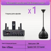 SAST Wireless Bluetooth Hanging Speaker Set CN plug (adapter included)