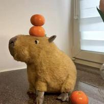 Simulation kapibara doll capybara doll simulation plush toy rag doll children ugly cute birthday gift 35 cm (0.35kg) tamsiai ruda spalva