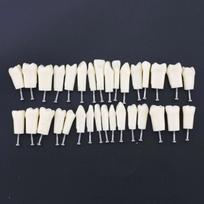 Kilgore Nissin 200 Type Dental Practice Typodont Model Removable Teeth 32pcs