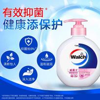 Walch Healthy Protection Antibacterial Hand Soap