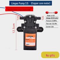 12V High-Pressure Agricultural Sprayer Pump: Electric Self-Priming Diaphragm Motor for Pesticide Spraying