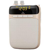 Suoai Portable Voice Amplifier with Bluetooth S-318 CN plug (adapter included)