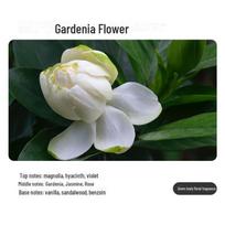 Aromaterapijos automatinis purškimo aparatas: Kompaktiškas, baterijomis maitinamas kvapų difuzorius namams ir vonios kambariui Gardenia essential oil