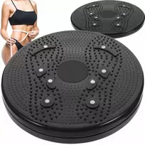 Sukimosi lėkštė BERIMAX 6XK-8RW 24.5 cm 90 kg