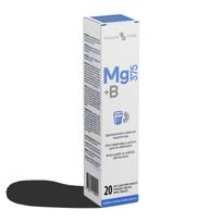 FORMULA VITALE Magnis 375 mg + B grupė, N20