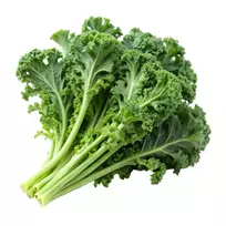 Kopūstai lapiniai KALE