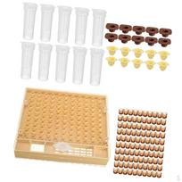 Beekeeping Tool Kit Queen Rearing Cup Holder Cages beige