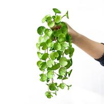 Soft Glue Artificial Plant Green EVA Succulent Plants Leaves Home Office Garden Decoration Faux Copper Coin Grass Home Office