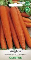 Olympus late carrot 5g morkų sėklos - WegAna