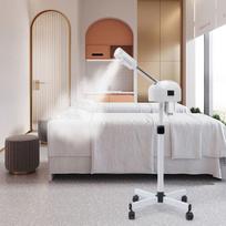 Ozone Facial Steamer, 42 C Facial Steamer, Multifunction