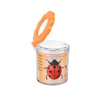 Kids Outdoor Exploration Magnifying Insect Observation Box