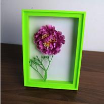 3D Origami A4 Photo Frame & Display Box for Seashells, Dried Flowers, & Butterfly Specimens