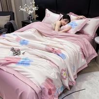 Vasarinės plonos vėsinančios antklodės Ledinio audinio pledas Dvigulė lovatiesė ant lovos Skalbiamas oro kondicionieriaus antklodė Karalienės Karaliaus dydžio 2pcs pillowcase