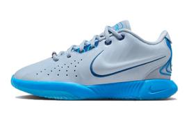 Nike LeBron 21 Mėlynas Nardytojas GS FV1210-400 40