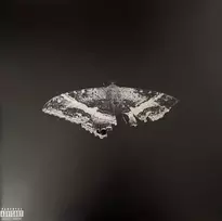 Kendrick Lamar - To Pimp A Butterfly (10th Anniversary, Metallic Blends) 2LP (vinilinė plokštelė)