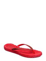 Ilse Jacobsen - Flip Flop With Glitter - Šlepetės - Raudona
