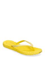 Ilse Jacobsen - Flip Flop With Glitter - Šlepetės - Geltona
