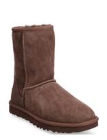 UGG - W Classic Short Ii - Aulinukai plokščiu kulnu - Ruda