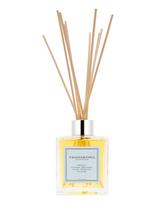 Tromborg - Aroma Therapy Room Diffuser Menthe - Kvapų difuzorius - Nude