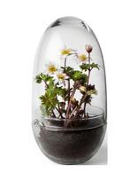 Design House Stockholm - Grow Greenhouse Medium - Didelė vaza - Nude